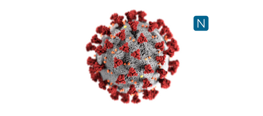 Ultrastructural morphology exhibited by coronaviruses.