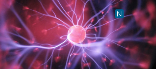 Close-up of a neuron in the brain, representing the topic of the article on transcranial photobiomodulation and its effects on EEG rhythms.